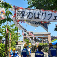 鯉のぼりフェスタ＠出石町（西大井３丁目、大井７丁目）町会