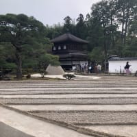 弾丸旅　第7弾　京都再び 3 15年ぶりの銀閣寺