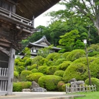 等覚院-(1) (川崎)