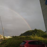 大きな虹でした。