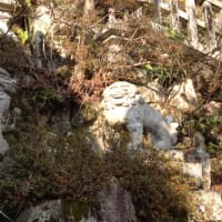 苦虫と光明