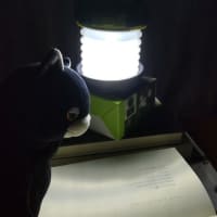 ランタン