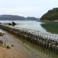 岡山・島根　二泊三日の一人旅