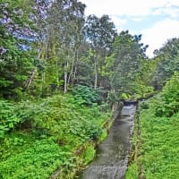 治国の術(国を治める見識)・・・水雲問答⑥