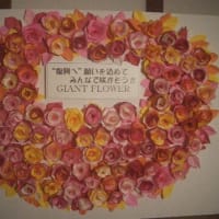 国宝瑞龍寺ライトアップ　春の特別夜間拝観「光彩陸離」
