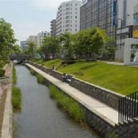 創成川公園 春の公園とライラックツアー