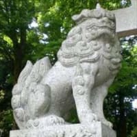 メタセコイア並木と天満宮 in 滋賀県高島市マキノ町