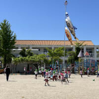 園外保育　年少組　５月８日（木）