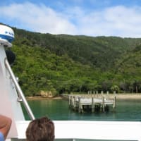 キャンパーバンで巡るニュージーランド南島の旅 その６ ～ クック船長の足跡 ～ 