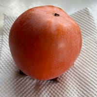 元旦のお年玉（笑）