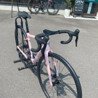 スペシャルカラーの限定モデルが入荷しました！