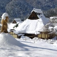 美山・かやぶきの里の雪景色♪