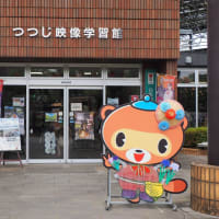 つつじヶ丘公園の紫陽花と睡蓮