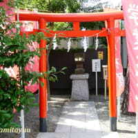 南台の鎮守「二宮神社」の七夕飾り！！