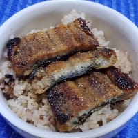 【05/20昼食】三重県産鰻蒲焼頭側でミニ鰻丼、二度寝して寝ぼけてるんだね：P