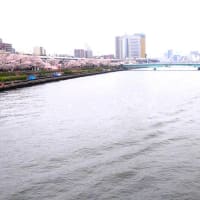 『隅田川沿いを散歩』