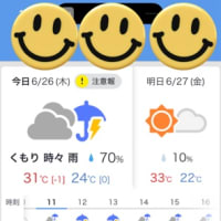 紫陽花の鉢増しを終え、オット宅へ