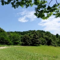 20250619の天気＠金沢市