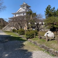 長浜に行ってきました。