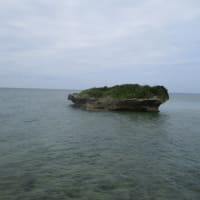 Argyll Robertson瞳孔の特徴