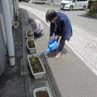 花の苗植え♪