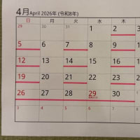 2026年坂根医院の日程表