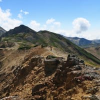 葉月の大暑　【回想】快晴の裏銀座・真砂岳から水晶乗越へ