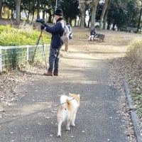クリンへの想いは尽きなくて・・・311