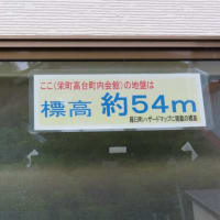 半端じゃない藪こぎ　撤退　羅臼湖へ