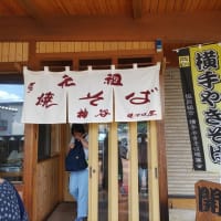 検査結果は貧血だって・・・