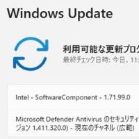 Windows 11 に 突然「Intel - SoftwareComponent - 1.71.99.0 」が配信されてきました。