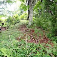 文珠山城 三河　奥平氏の主城･亀山城の詰城とされる遺構の残存が良好の山城