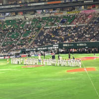 野球観戦⓻