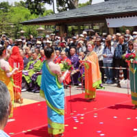2025 善光寺花まつり