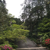 佐賀　九年庵