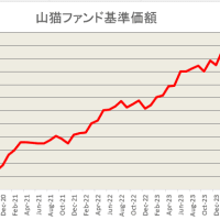2025年4月投資成績：米国関税の影響を受けています