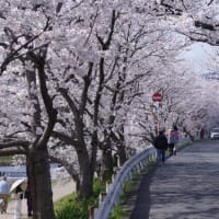 2025（令和7）年04月10日（木）曇り、のち小雨。#能因法師