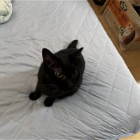 いくら呼ばれても・・・（苦笑