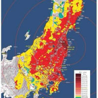 東北の日本海側の汚染