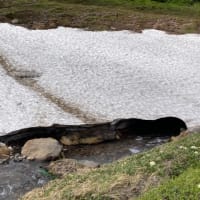 大雪山赤岳〜黒岳縦走　2025/7/10その2