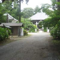 日本寺（にちほんじ）散歩