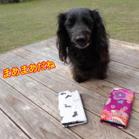 スマホカバーの再生
