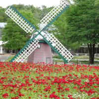 No.2261　加西市、歩き旅・前編