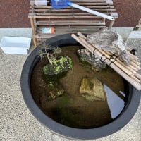 もう夏レベル