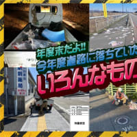 ～年度末だよ～道路に落ちていたいろんなもの