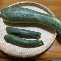 暑さに負けそう