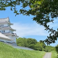 関宿吟行会紀行