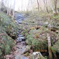 2025.05.05（月）石上山へ