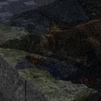 子ネコ参上。