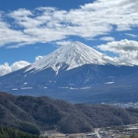 富士山と神社参拝